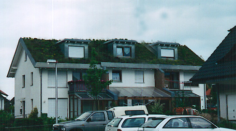 a green roof in Germany
