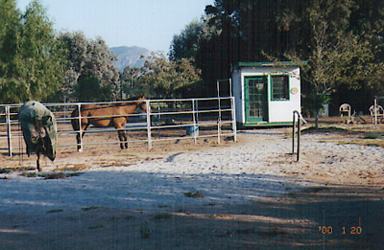 horse corral1