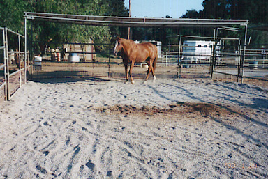 horse corral2
