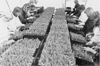 Plugplant Workers