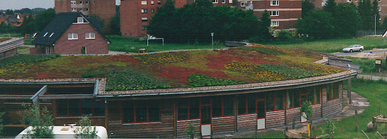 Another German Green Roof